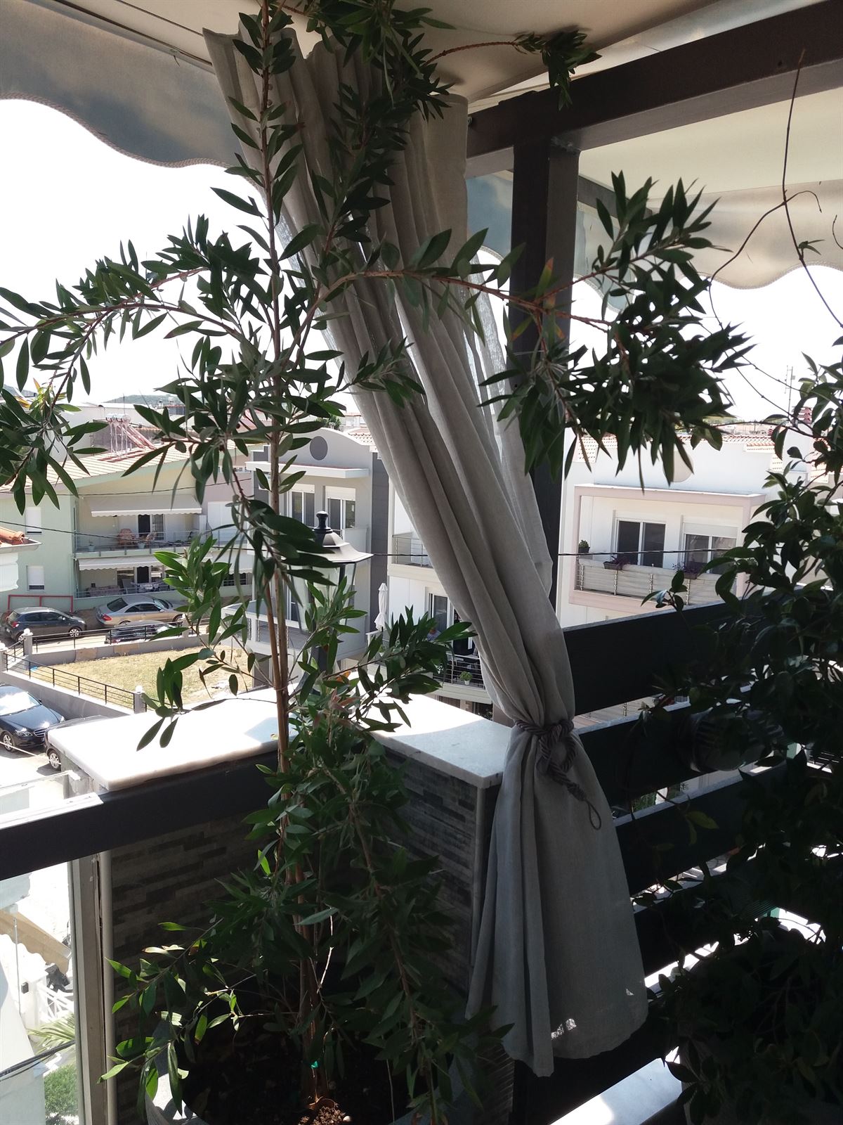 1001 GreenHouse 2026 40