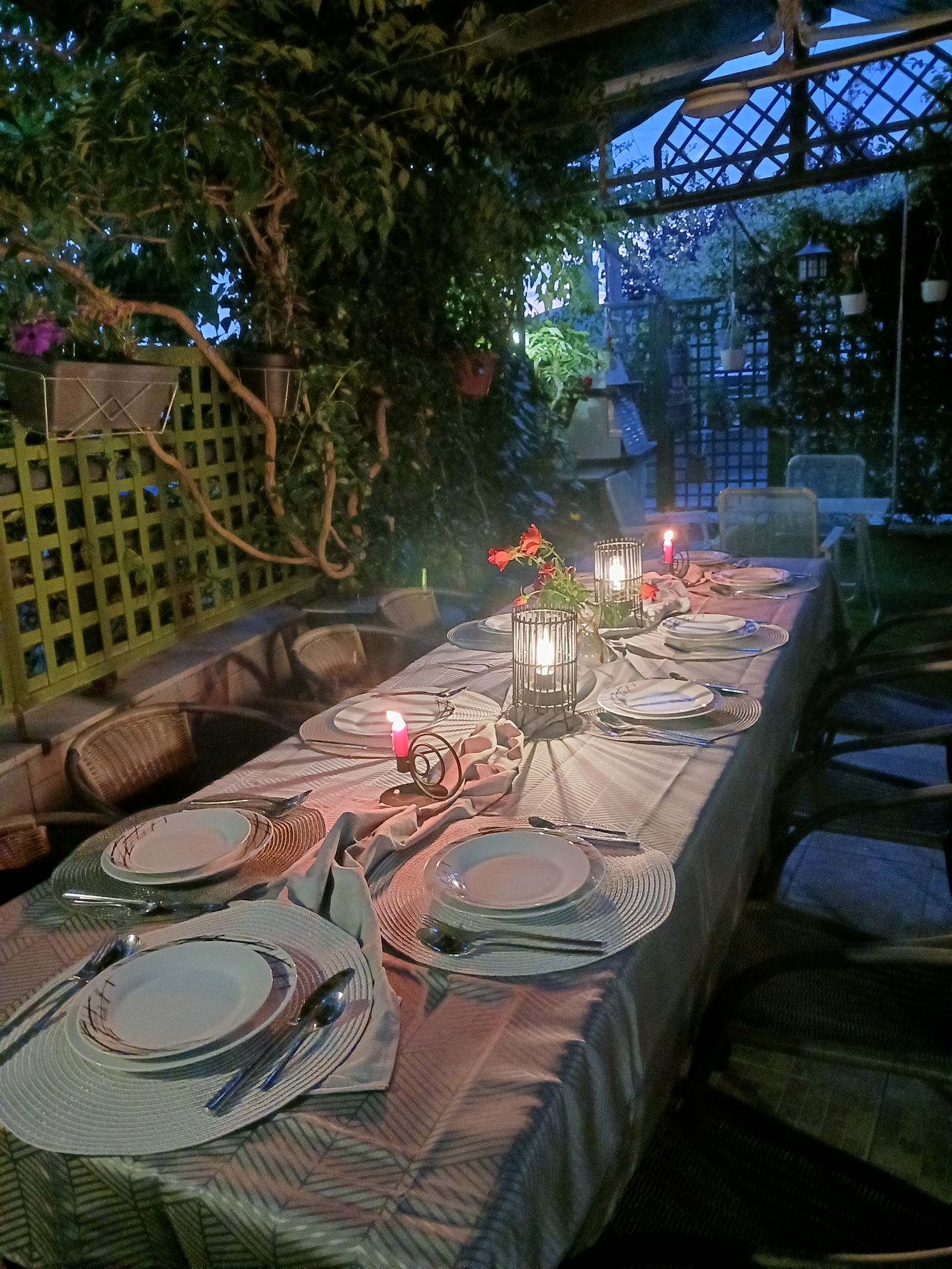 1001 GreenHouse 2026 56