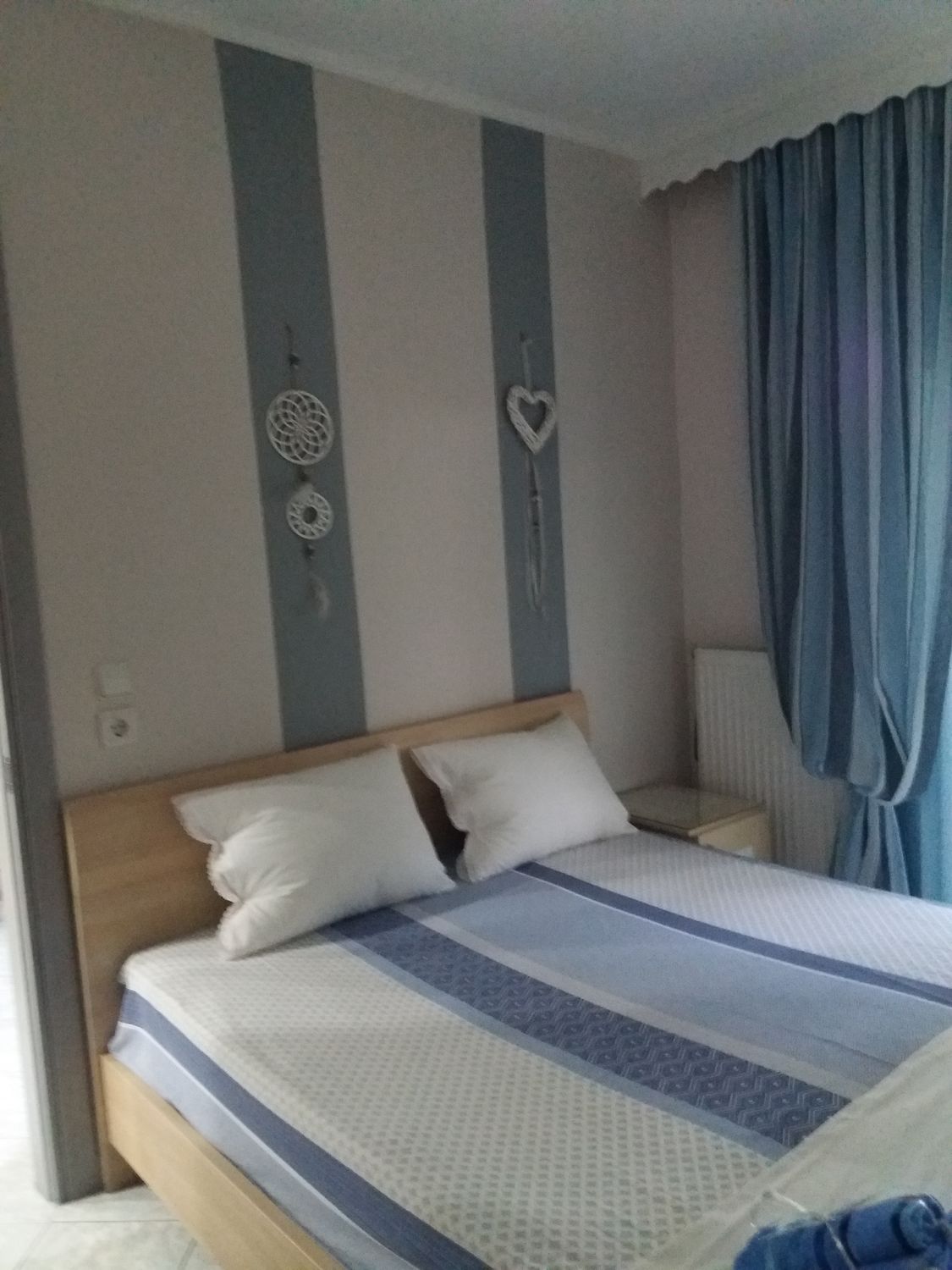 1003 Aloe Garden 2026 23