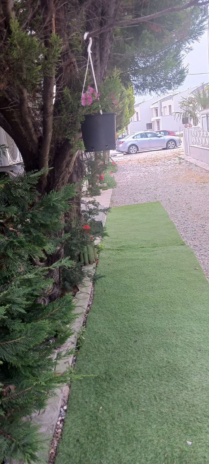 1004 Yard's studio 2026 10